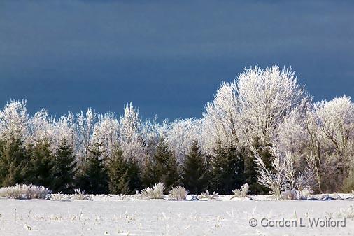 Frosted Landscape_13089.jpg - Photographed east of Ottawa, Ontario - the capital of Canada.